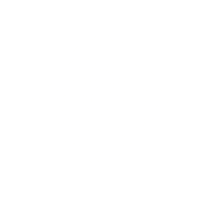 ShineLink Advertising